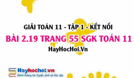 Bài 2.19 SGK Toán 11 tập 1 Kết nối tri thức